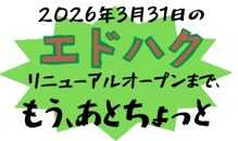 江戸東京博物館3・31リニューアルオープン！ ～ 「『両国まちあるき瓦版』編集長」墨田区産業観光部観光課・大西俊明課長に聞く