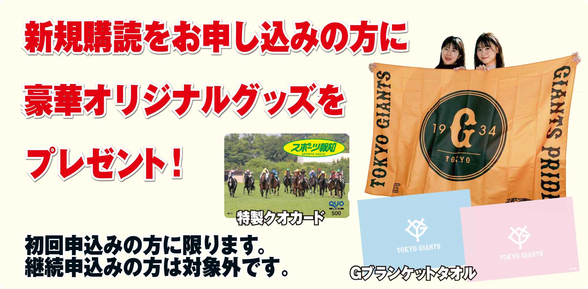 新規購読をお申込みの方に、ジャビットふわふわピロー等をもれなく1つプレゼント！　※初回申込みの方に限ります。継続申込みの方は対象外です。