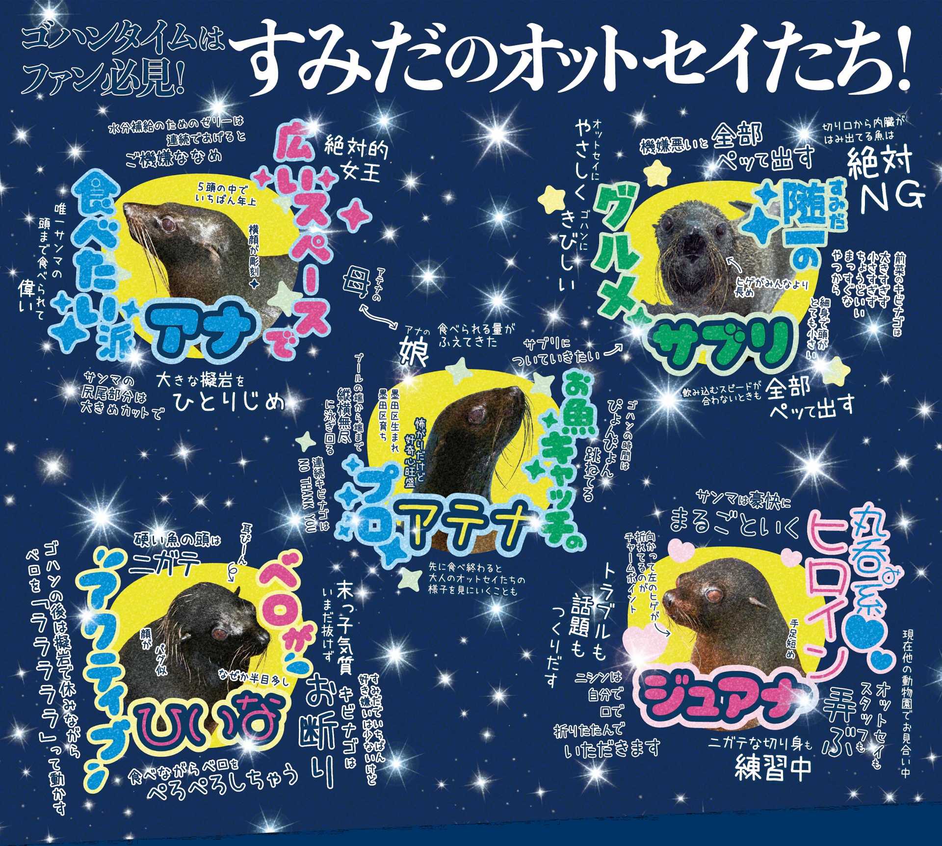 すみだ水族館に暮らすオットセイ5頭のゴハンタイムの特徴を性格などとあわせてパネルで紹介