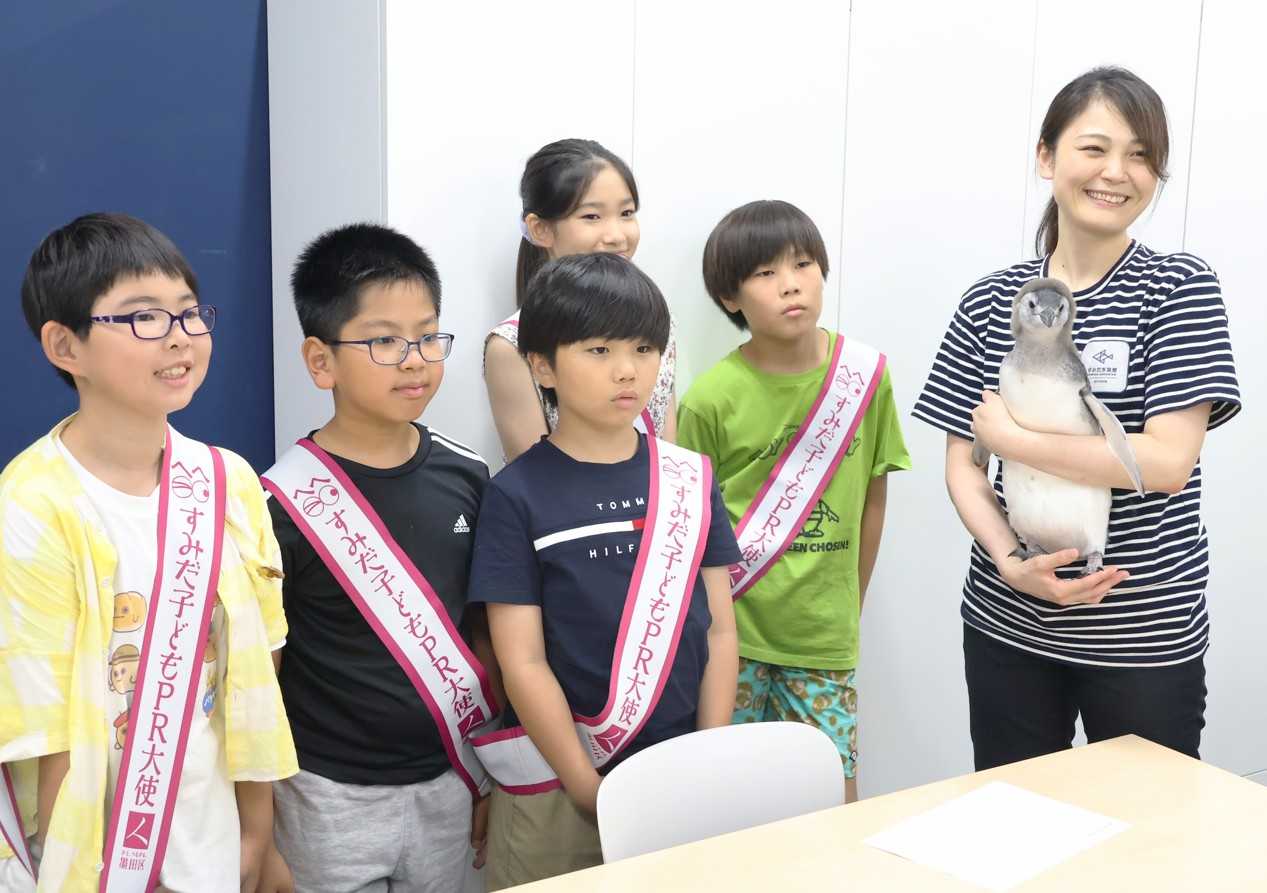 プールデビュー前に「すみだ子どもＰＲ大使」からエールを送られた「じんべい」を抱きかかえるペンギン担当の高嶋悠加里さん